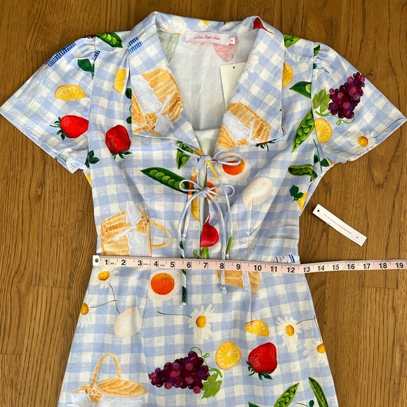 NWT Lisa Says Gah Picnic Alfresco Gingham Alexa Shirtdress XS - Picture 4 of 13